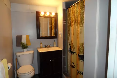 Bath - 636 Bangs St, Aurora, IL 60505 photo 3 of 5
