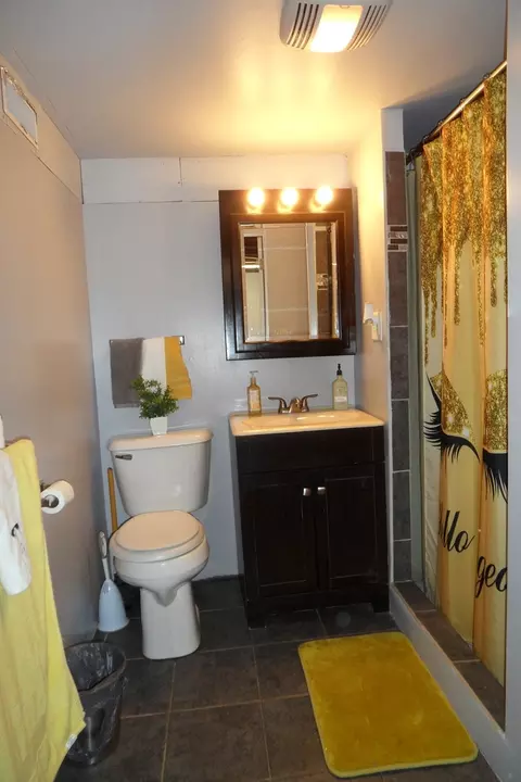 Bath - 636 Bangs St, Aurora, IL 60505 photo 4 of 5