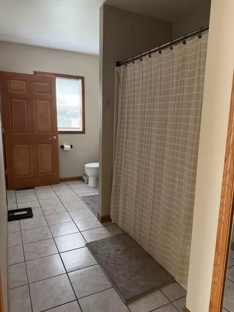 Bath - 106 N Ava St, Mark, IL 61340 photo 2 of 3
