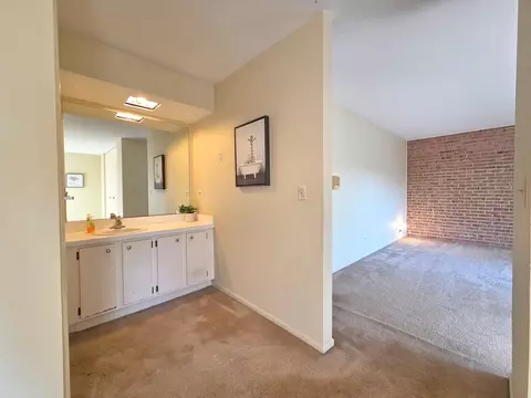 Bath - 1833 Wildberry Dr #E, Glenview, IL 60025 photo 2 of 5