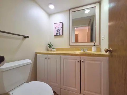 Bath - 1833 Wildberry Dr #E, Glenview, IL 60025 photo 1 of 5