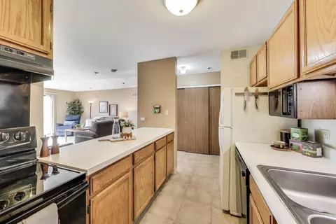 3255 Kirchoff Rd #207, Rolling Meadows, IL 60008 photo 7