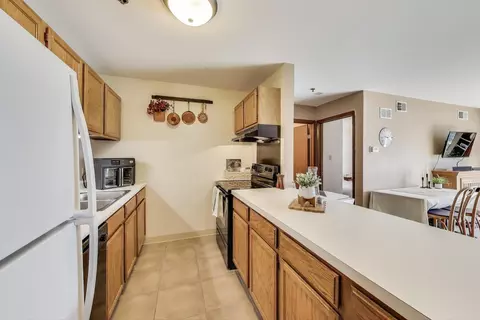 3255 Kirchoff Rd #207, Rolling Meadows, IL 60008 photo 6