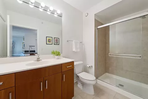 Bath - 807 Davis St #1907, Evanston, IL 60201 photo 3 of 3