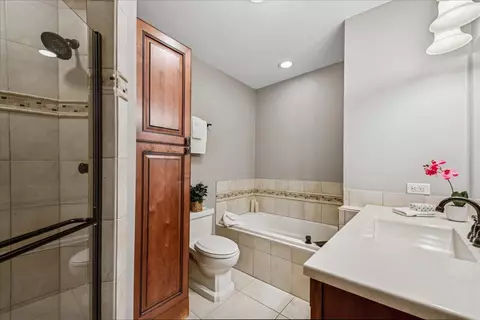 Bath - 1455 Saddlebrook Cir, Algonquin, IL 60102 photo 1 of 3