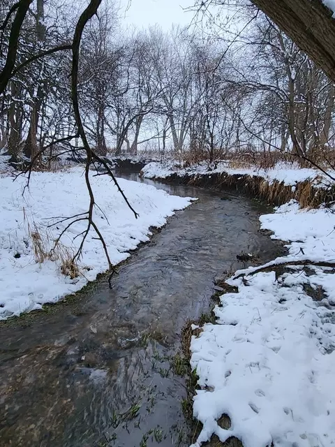 View/Area - 10175 Brown Rd, Morris, IL 60450 photo 1 of 1