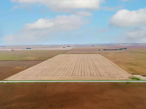 80 Acres Off E 2000 North Rd, Anchor, IL 61720