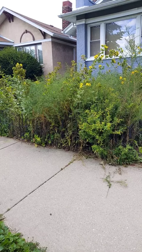 4722 W Parker Ave, Chicago, IL 60639
