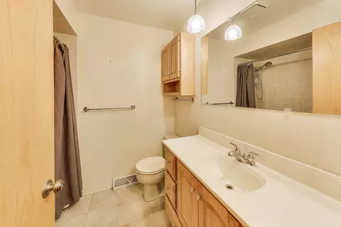 5 N Maple St, Mount Prospect, IL 60056 photo 16