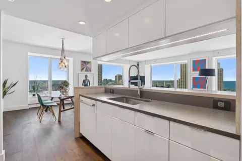 161 E Chicago Ave #31F, Chicago, IL 60611 photo 9
