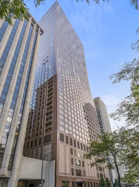 161 E Chicago Ave #31F, Chicago, IL 60611