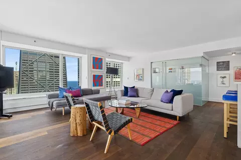 161 E Chicago Ave #31F, Chicago, IL 60611 photo 3