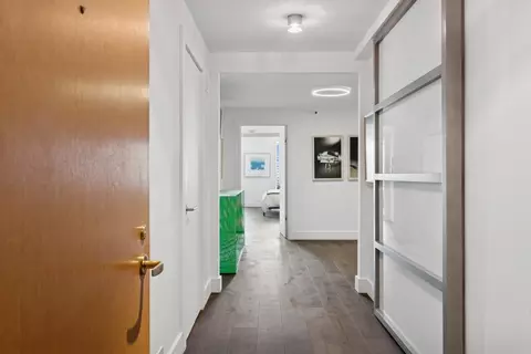 161 E Chicago Ave #31F, Chicago, IL 60611 photo 24
