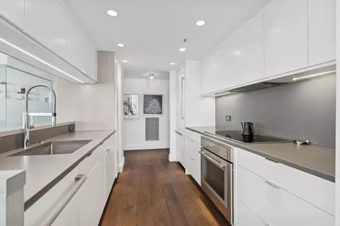 161 E Chicago Ave #31F, Chicago, IL 60611 photo 8