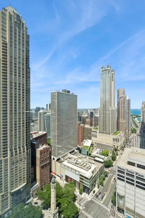 161 E Chicago Ave #31F, Chicago, IL 60611 photo 26