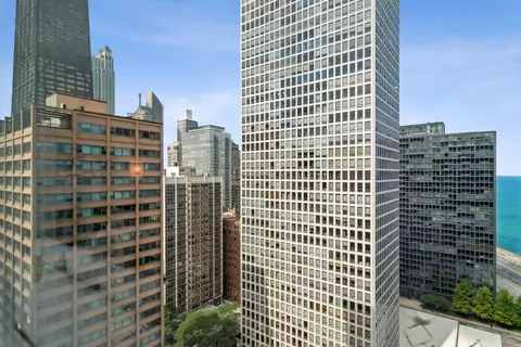 View/Area - 250 E Pearson St #2006, Chicago, IL 60611 photo 3 of 4