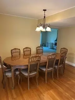 906 Alfini Dr, Des Plaines, IL 60016 photo 6