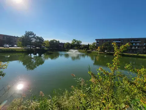 View/Area - 5406 Chateau Dr #4, Rolling Meadows, IL 60008 photo 1 of 1