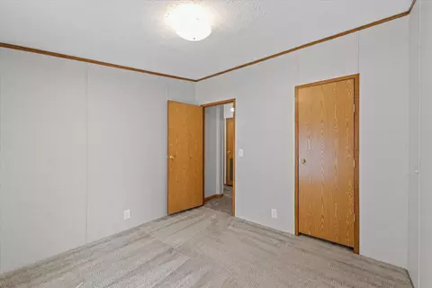 101 Railroad St, Sidell, IL 61876 photo 23