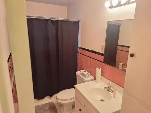Bath - 101 E Lincoln St, Sidell, IL 61876 photo 5 of 6