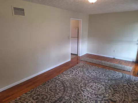 Living - 101 E Lincoln St, Sidell, IL 61876 photo 6 of 6