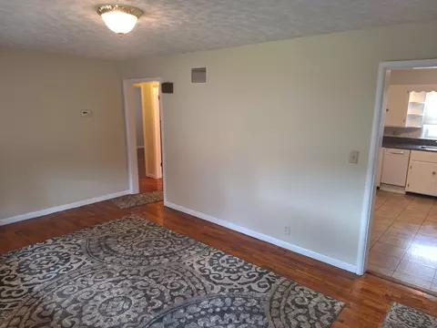 Living - 101 E Lincoln St, Sidell, IL 61876 photo 5 of 6