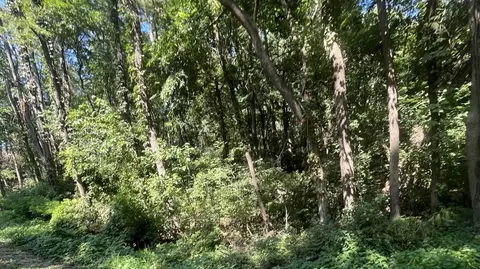 7 W Arrowhead Dr, Galena, IL 61036