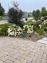 Exterior - 2404 Treeline Dr, Bloomington, IL 61704 photo 22 of 24