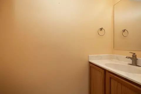 Bath - 26256 S Plum Tree Ln, Monee, IL 60449 photo 1 of 3