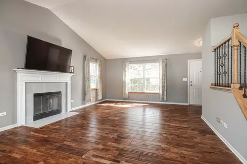 Living - 26256 S Plum Tree Ln, Monee, IL 60449 photo 2 of 4