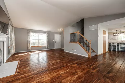 Living - 26256 S Plum Tree Ln, Monee, IL 60449 photo 3 of 4