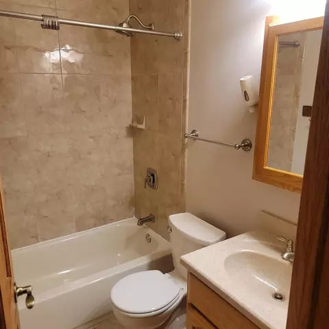 311 Munroe Cir, Des Plaines, IL 60016 photo 14