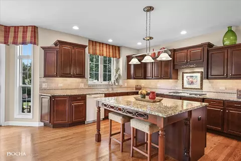 12206 Red Clover Ln, Plainfield, IL 60585 photo 14