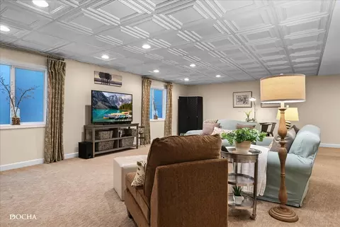 12206 Red Clover Ln, Plainfield, IL 60585 photo 31
