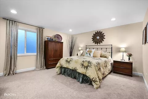 12206 Red Clover Ln, Plainfield, IL 60585 photo 35