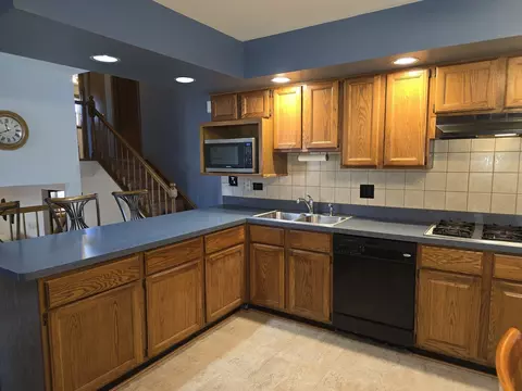109 Dorie Ln, Thornton, IL 60476 photo 8