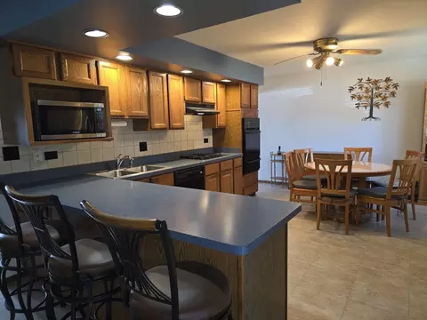 109 Dorie Ln, Thornton, IL 60476 photo 6