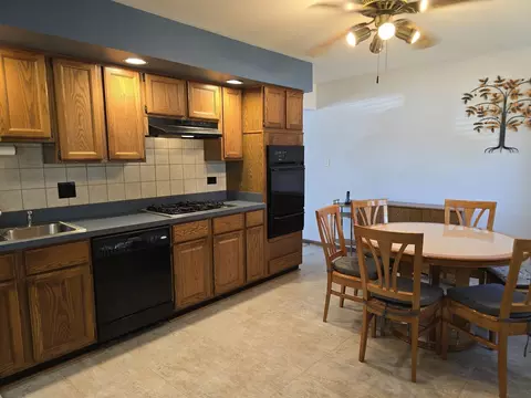 109 Dorie Ln, Thornton, IL 60476 photo 7
