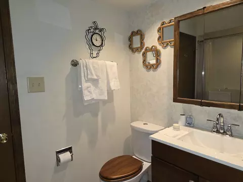 109 Dorie Ln, Thornton, IL 60476 photo 17