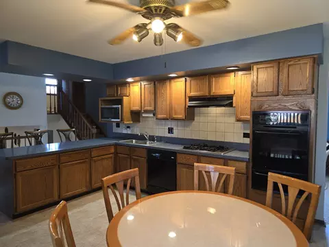 109 Dorie Ln, Thornton, IL 60476 photo 9