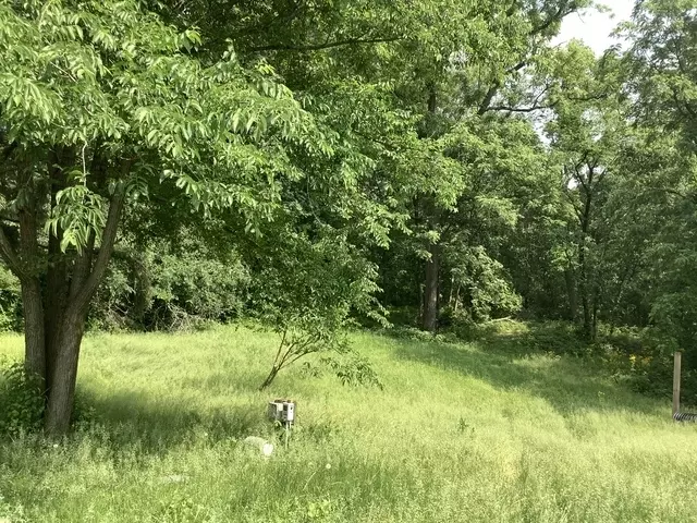  338 Willow St, New Lenox, IL 60451 photo 2