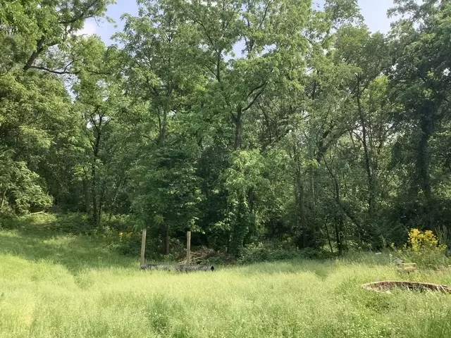  338 Willow St, New Lenox, IL 60451 photo 3