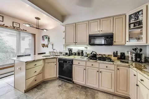 1003 Mapleton Ave, Oak Park, IL 60302 photo 13