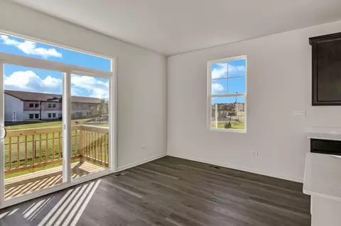 Other - 1290 Tiger Lily Dr, Bartlett, IL 60103 photo 4 of 10