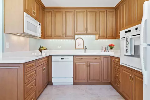 Kitchen - 913 Ingram Pl, Des Plaines, IL 60016 photo 1 of 4