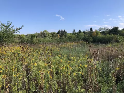 8 Alexandra Dr, Mettawa, IL 60048