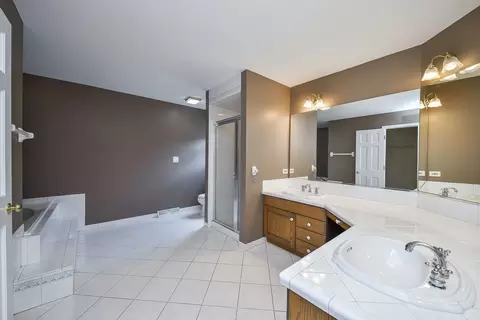Bath - 339 Windsor Dr, Bartlett, IL 60103 photo 2 of 5