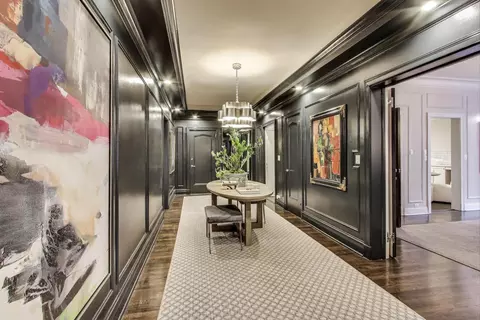 Entry Way - 220 E Walton Pl #5E, Chicago, IL 60611 photo 3 of 3