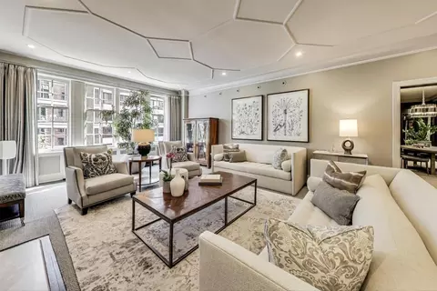 Living - 220 E Walton Pl #5E, Chicago, IL 60611 photo 2 of 4