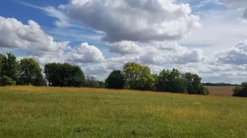 9296 Lee Hill Rd, Newark, IL 60541